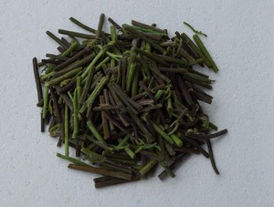 山野菜1